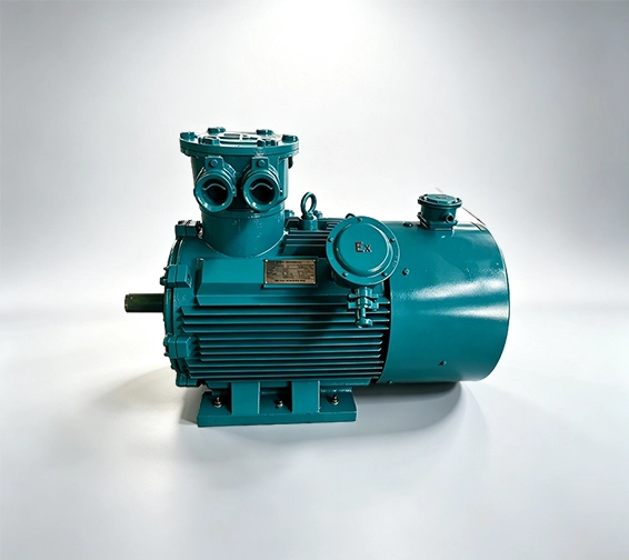 High-voltage Explosion-proof Motors